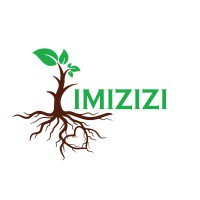 Imizizi